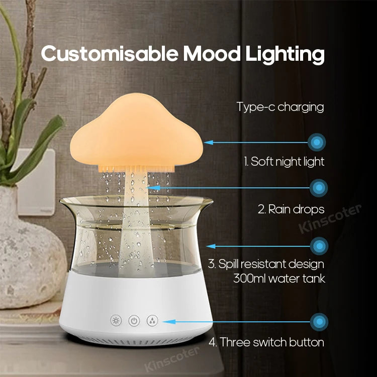 Rain Cloud Air Humidifiers